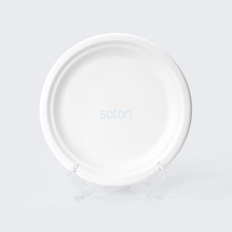 Manufacture Biodegradable Sugarcane Plates