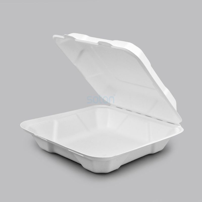 Sugarcane Bagasse Box Manufacturer China