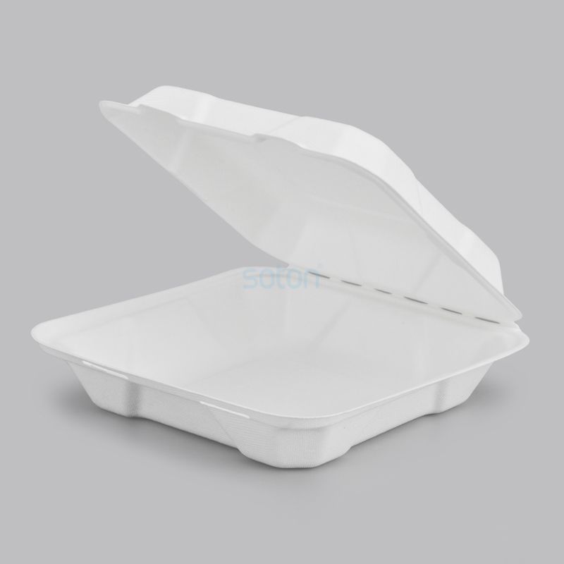 Clamshell Biodegradable Meal Box with Lid Factory China