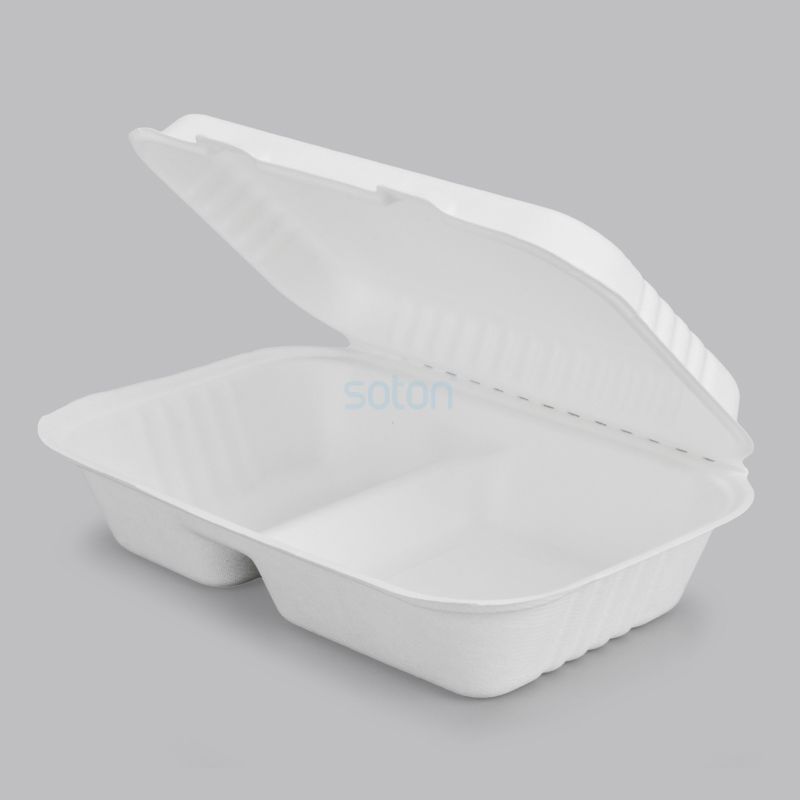 Wholesale Disposable Sugarcane Box with Lid