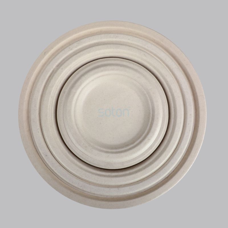 Manufacture Wheat Straw Plate for Restaurant