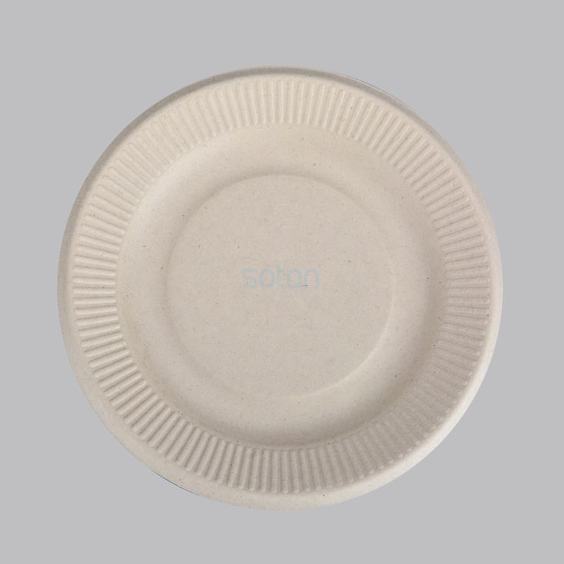 Manufacture Wheat Straw Plate for Restaurant