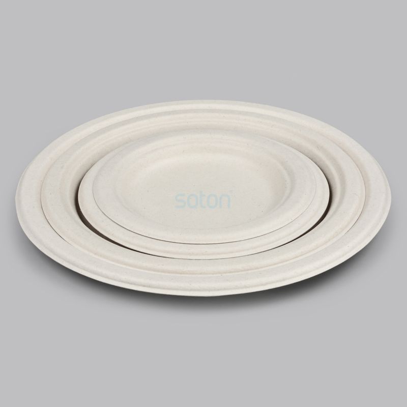 Custom Eco-friendly Wheat Straw Plates in China