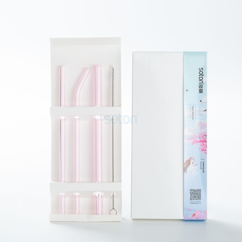 Export Individual Glass Straws Set