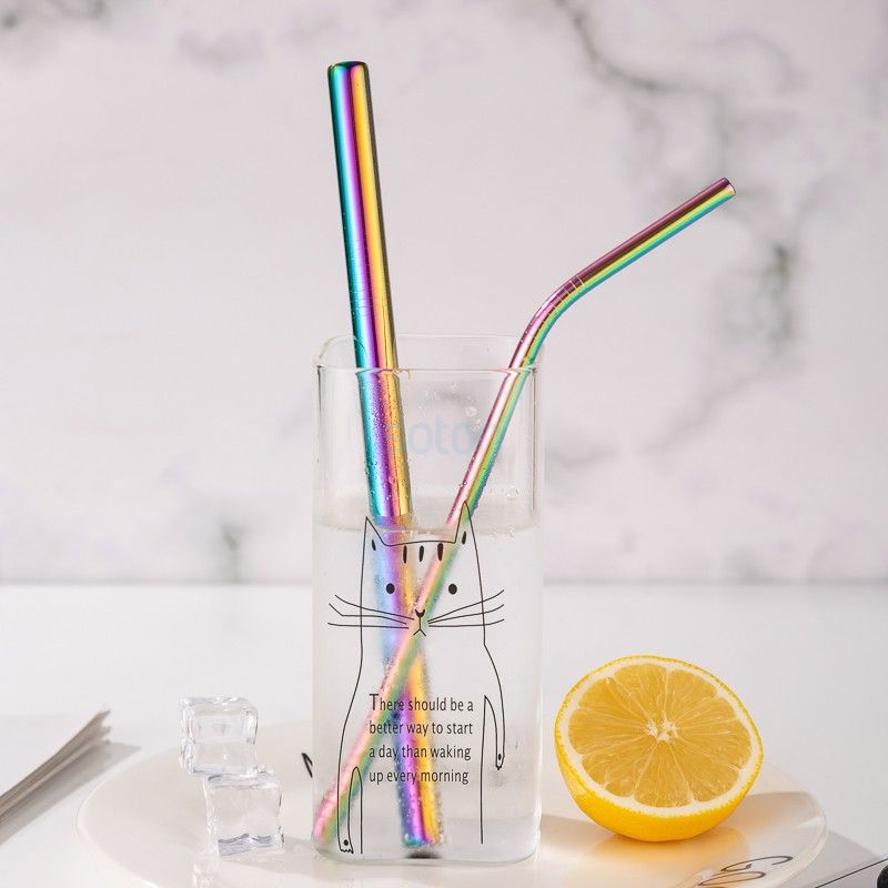 Sale Biodegradable Reusable Stainless Steel Straws