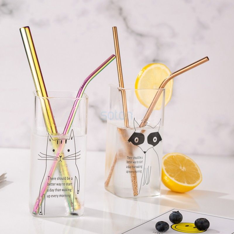 Sale Biodegradable Reusable Stainless Steel Straws