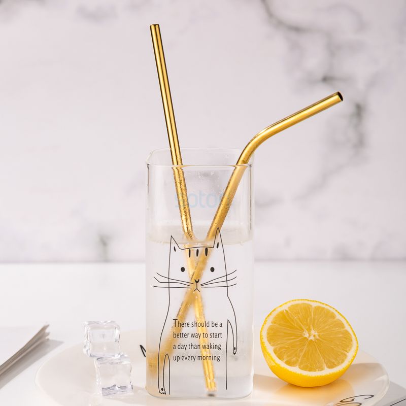 Sale Biodegradable Reusable Stainless Steel Straws