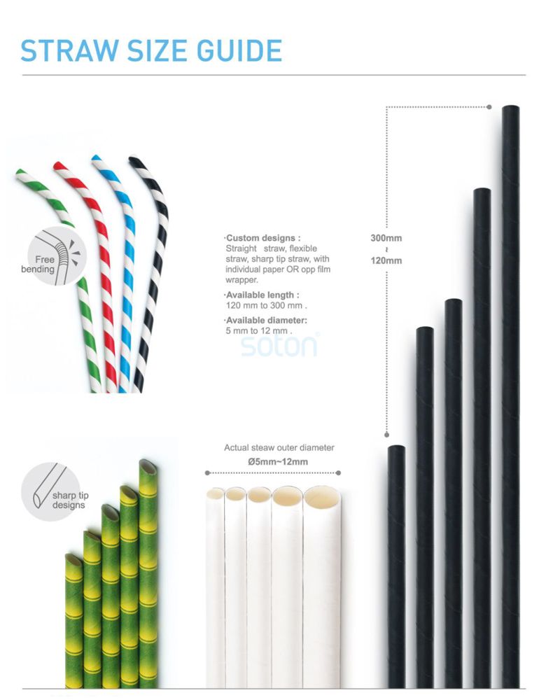 Eco Disposable Stripe Individually Wrapped Paper Straws